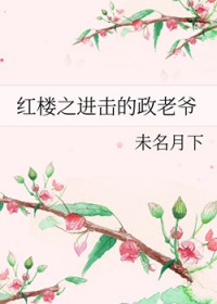 红楼之进击的政老爷